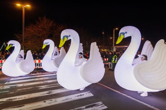 Pasacalle Cisnes espectáculo de calle y luz